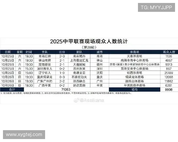 2025中甲联赛第27轮现场观众人数统计揭示各主场人气格局变化趋势